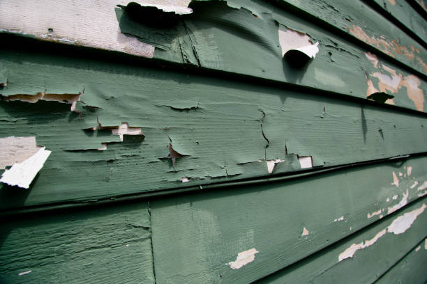 Affordable Siding Repair and Maintenance Services in Wesleyville, PA